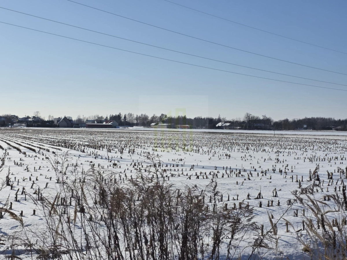 Atrakcyjna działka inwestycyjna w Błoniu