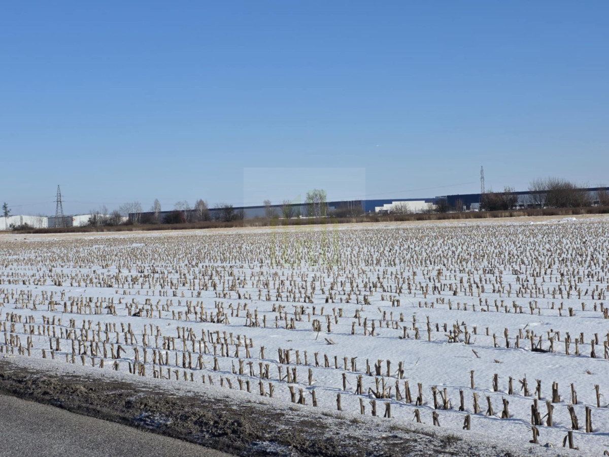 Atrakcyjna działka inwestycyjna w Błoniu