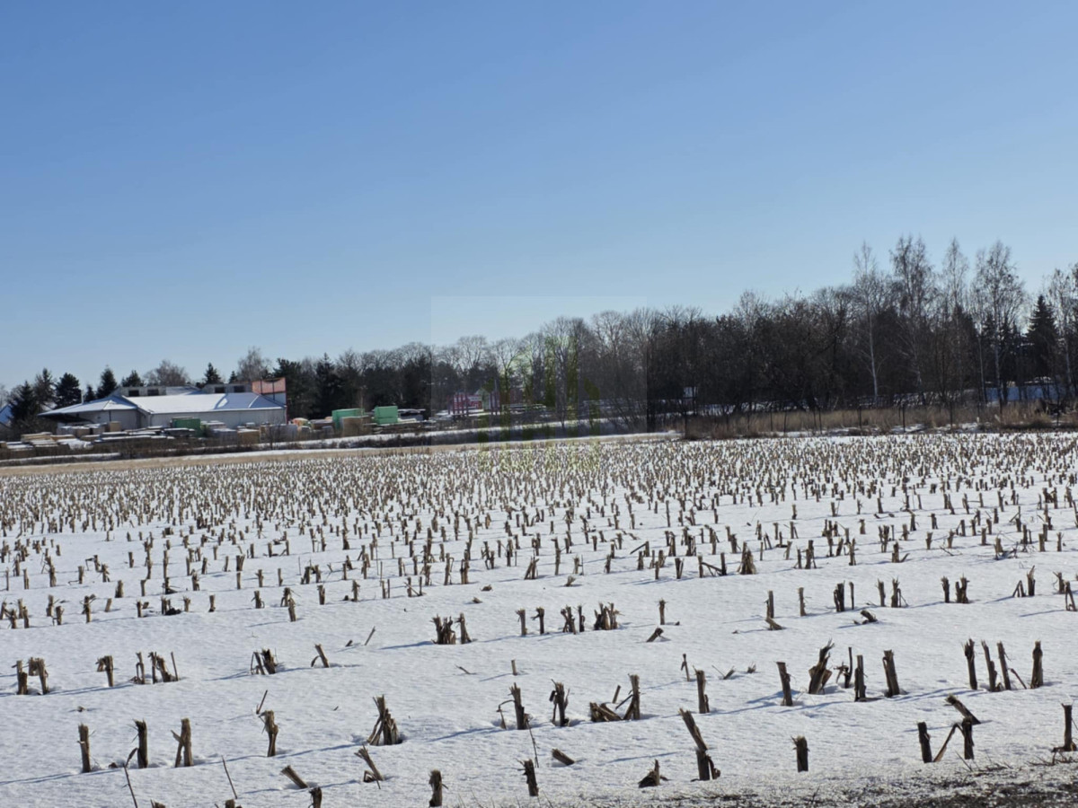 Atrakcyjna działka inwestycyjna w Błoniu