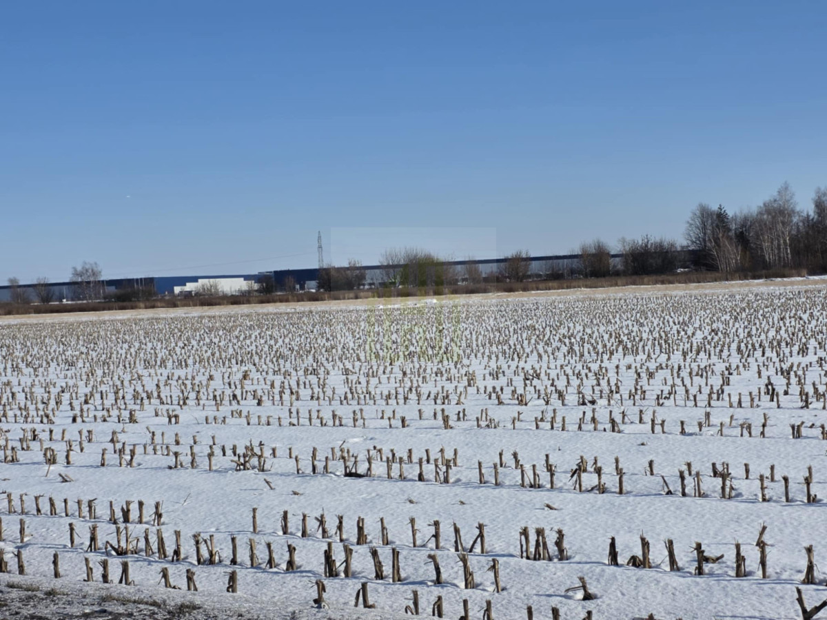 Atrakcyjna działka inwestycyjna w Błoniu