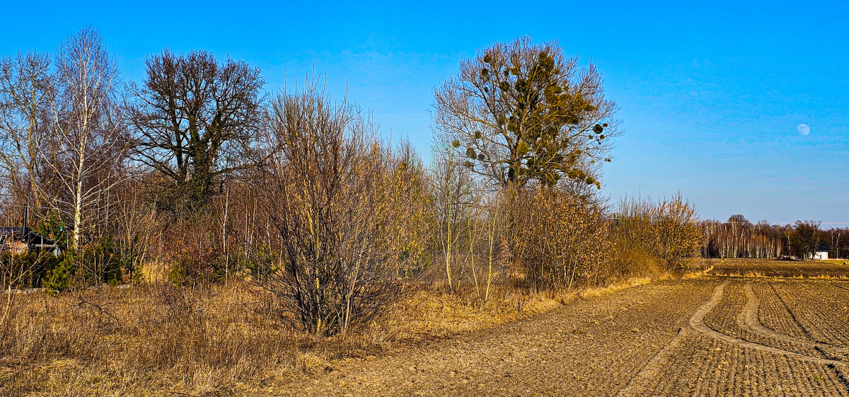 Działka budowlano-usługowa