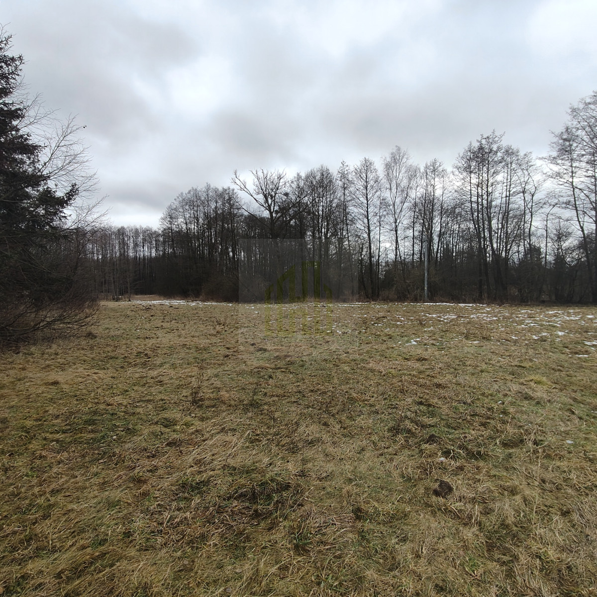 1 ha  pod siedlisko  35 minut od Warszawy