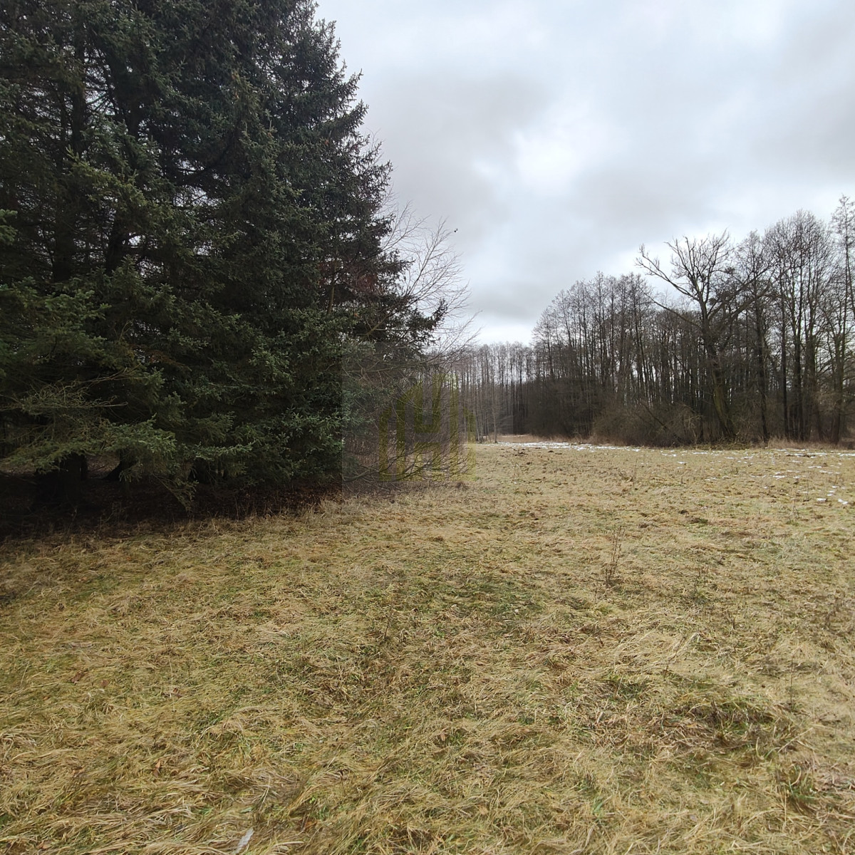 1 ha  pod siedlisko  35 minut od Warszawy