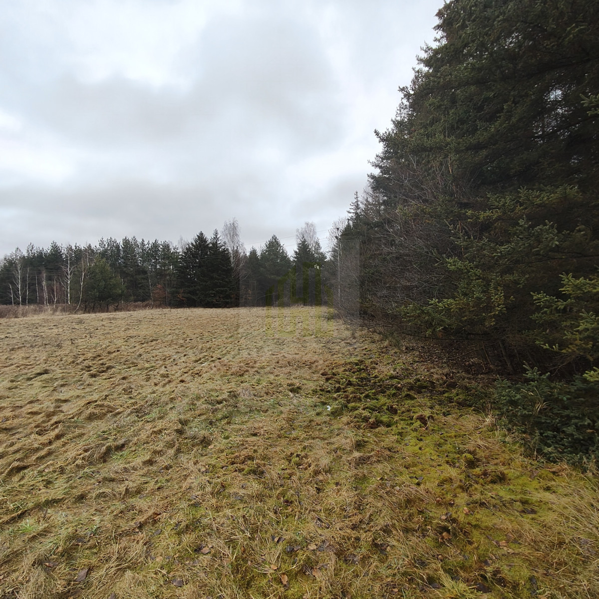 1 ha  pod siedlisko  35 minut od Warszawy