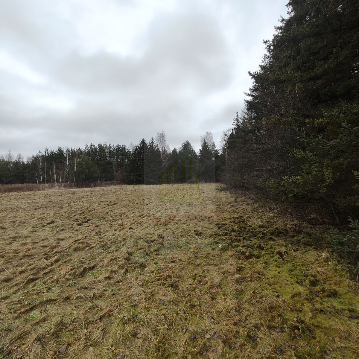 1 ha  pod siedlisko  35 minut od Warszawy