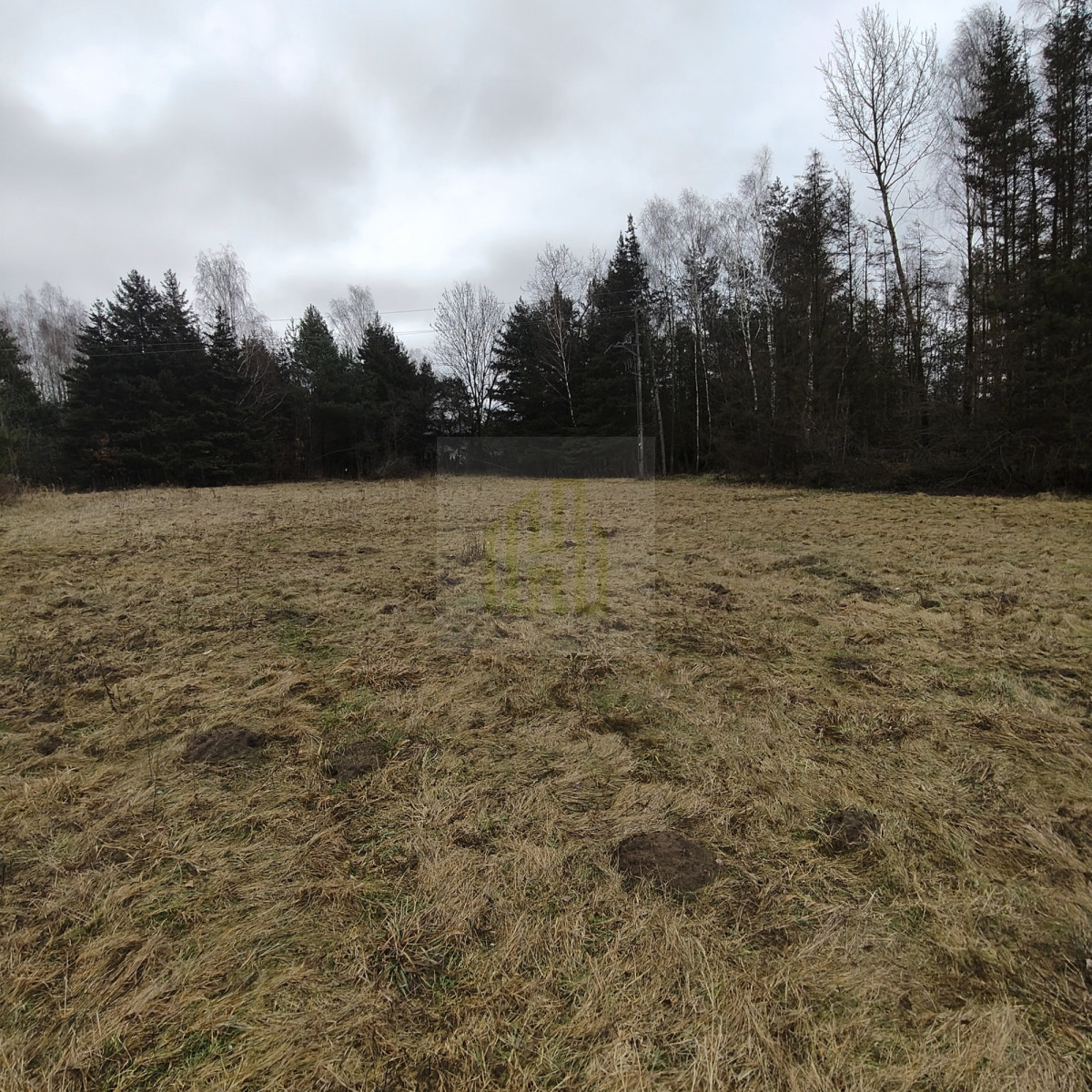 1 ha  pod siedlisko  35 minut od Warszawy