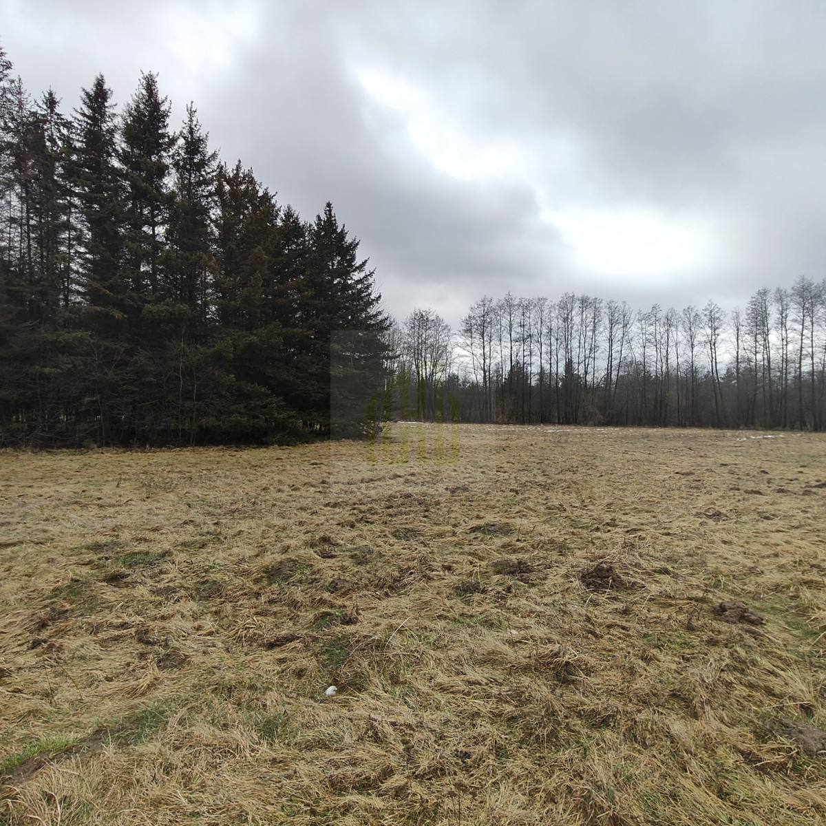 1 ha  pod siedlisko  35 minut od Warszawy