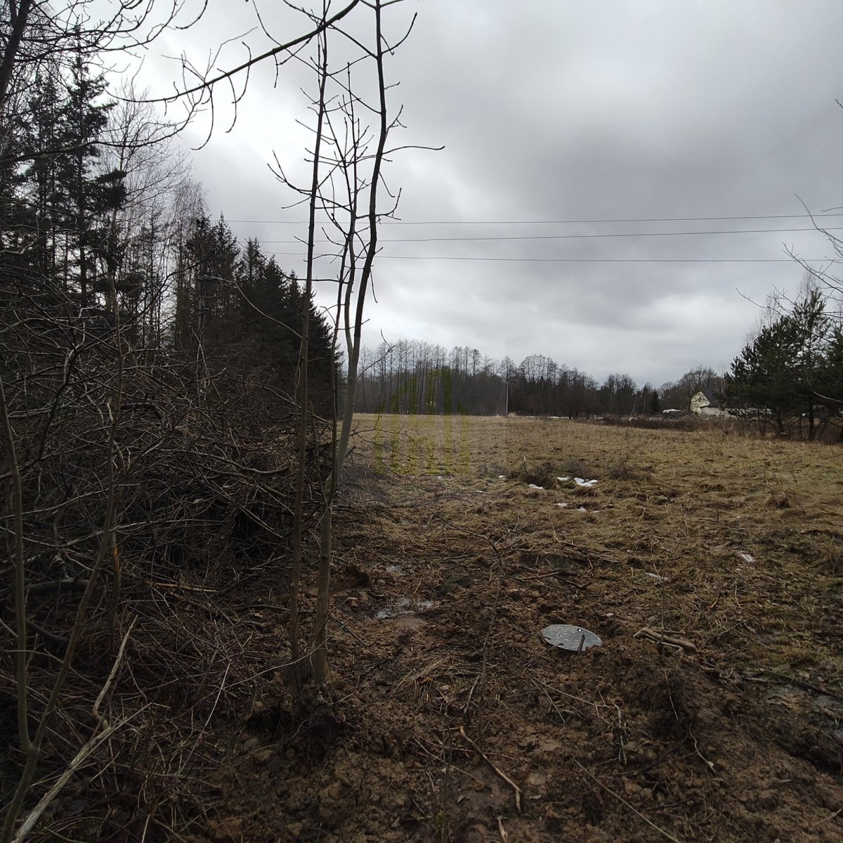 1 ha  pod siedlisko  35 minut od Warszawy