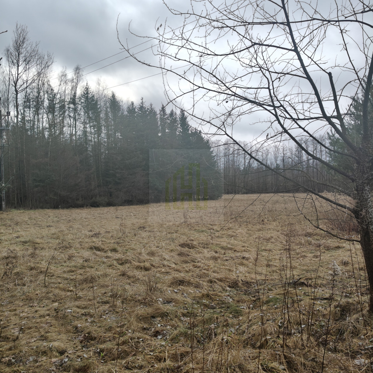 1 ha  pod siedlisko  35 minut od Warszawy