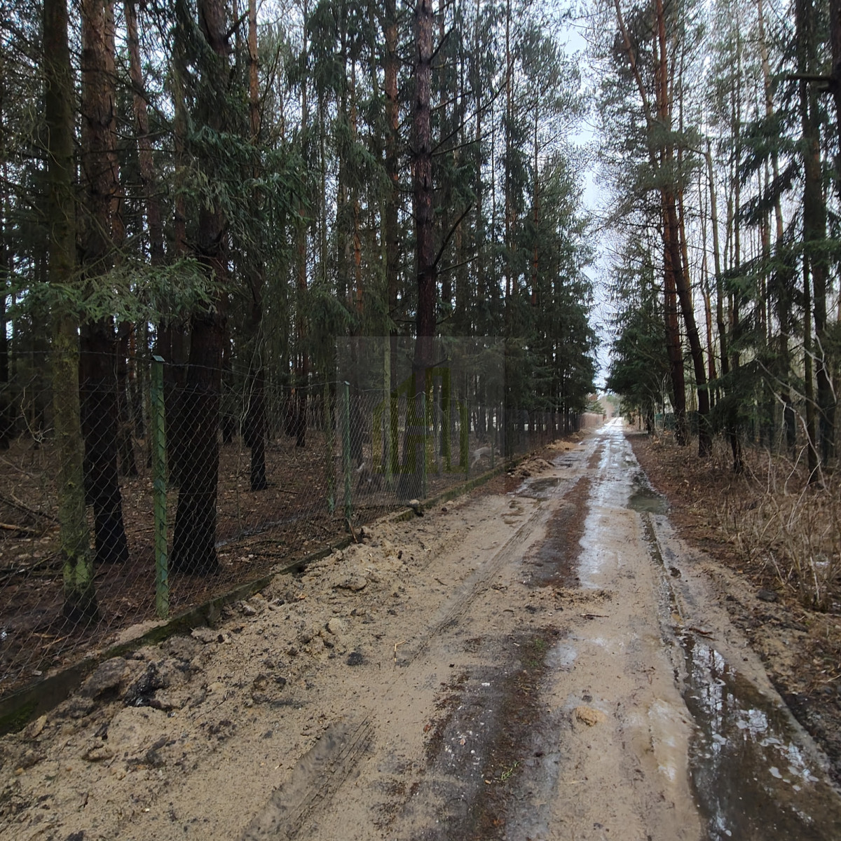 1 ha  pod siedlisko  35 minut od Warszawy