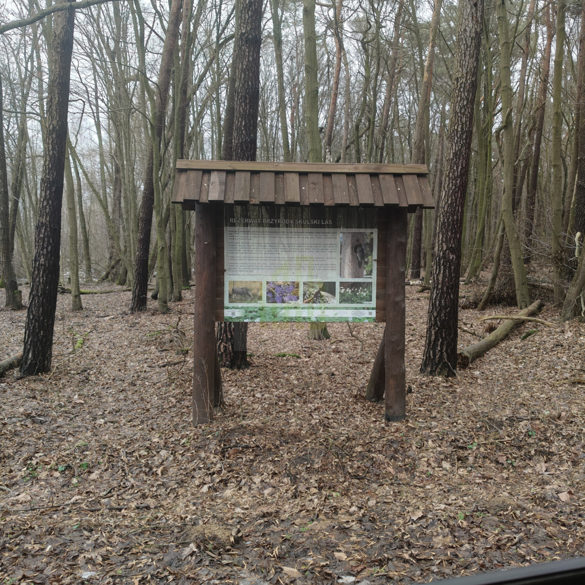 1 ha  pod siedlisko  35 minut od Warszawy