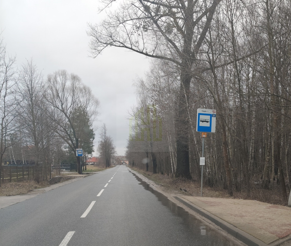 1 ha  pod siedlisko  35 minut od Warszawy