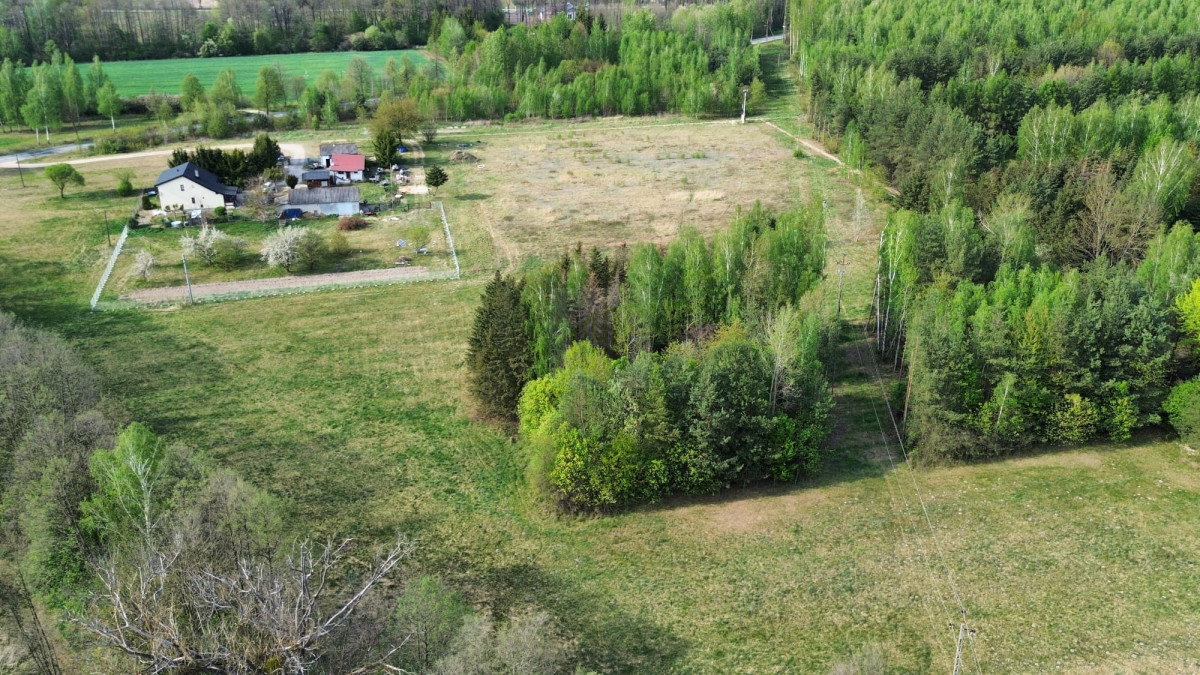 1 ha  pod siedlisko  35 minut od Warszawy