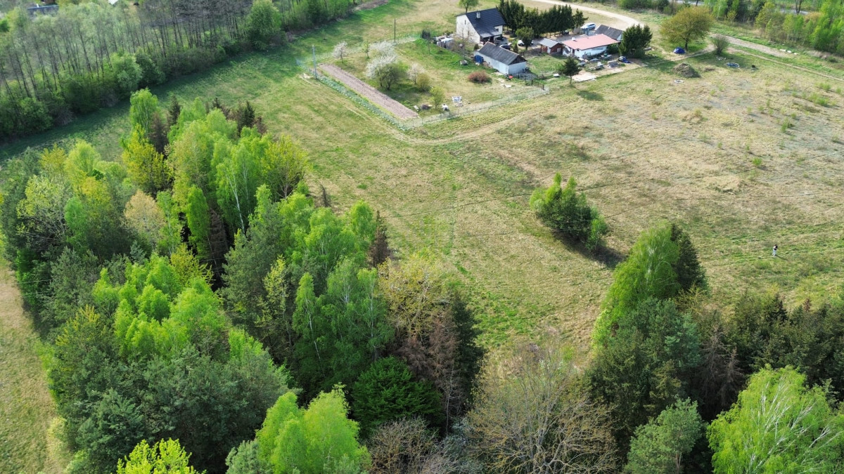 1 ha  pod siedlisko  35 minut od Warszawy