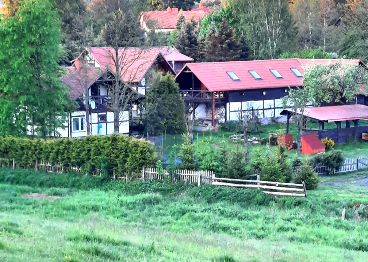 Siedlisko z własnym jeziorem gmina Grunwald