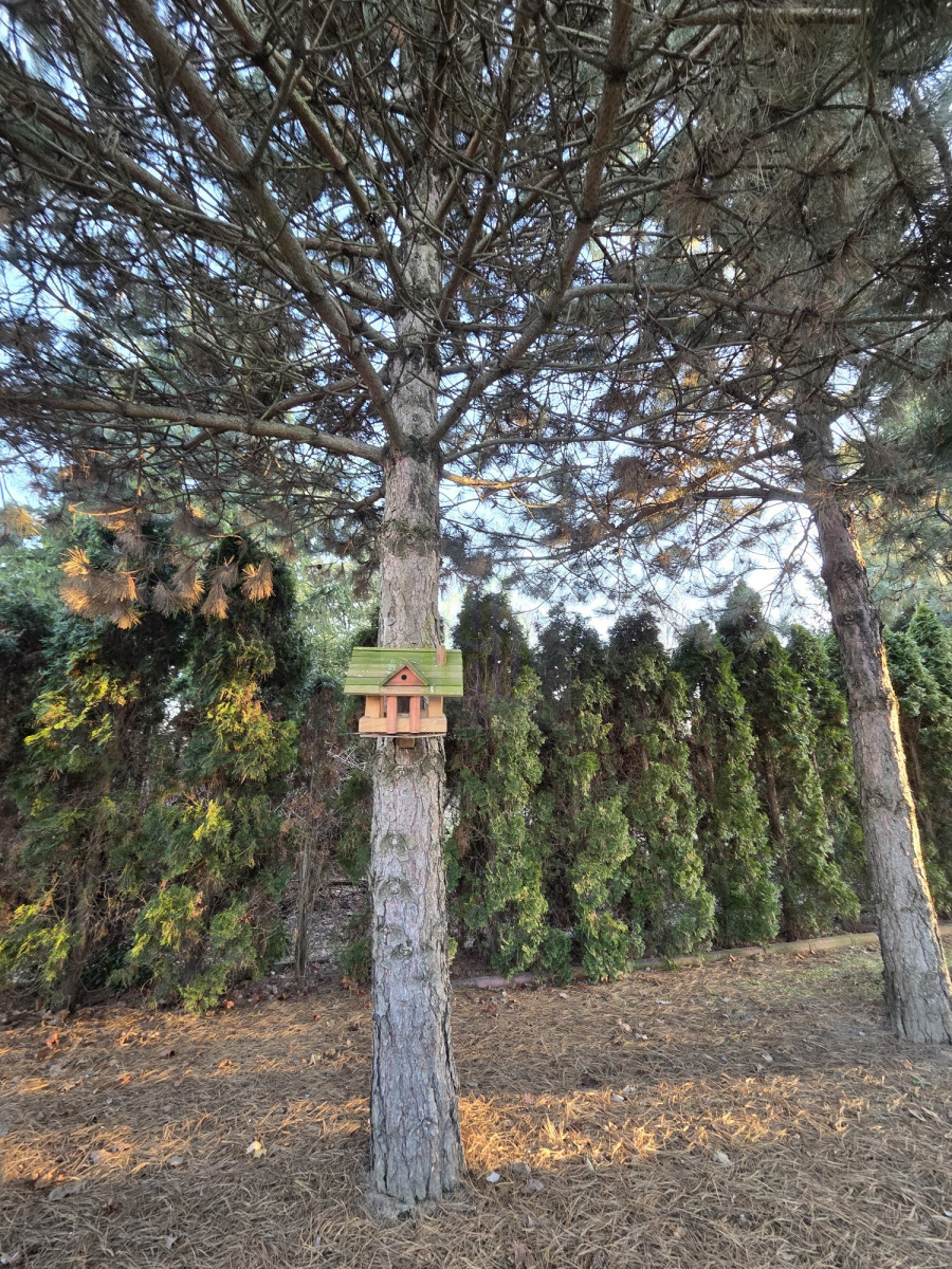 Wyjątkowy dom na sprzedaż