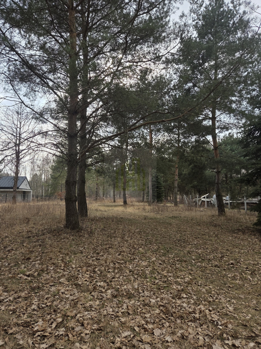 Duża działka 7800 m² – świetna pod inwestycję