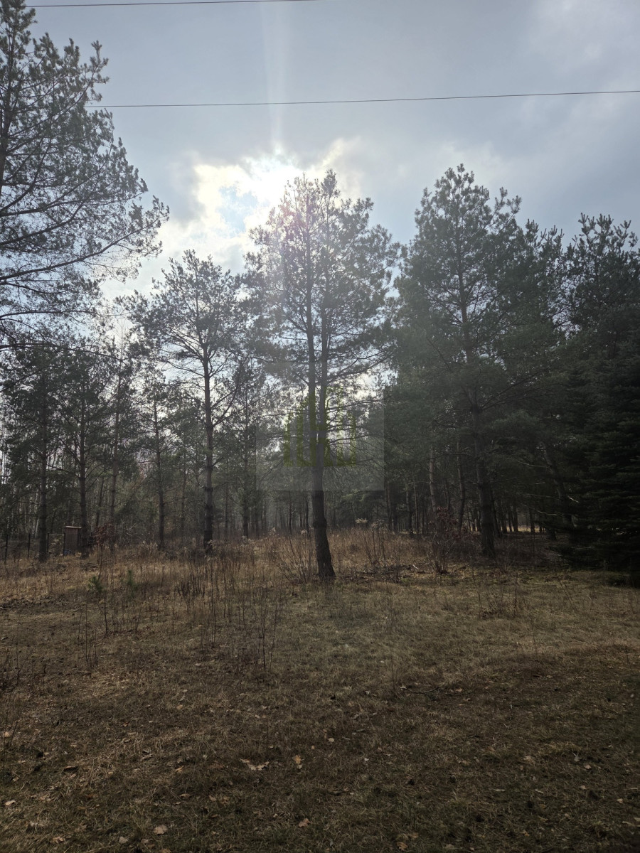 Duża działka 7800 m² – świetna pod inwestycję