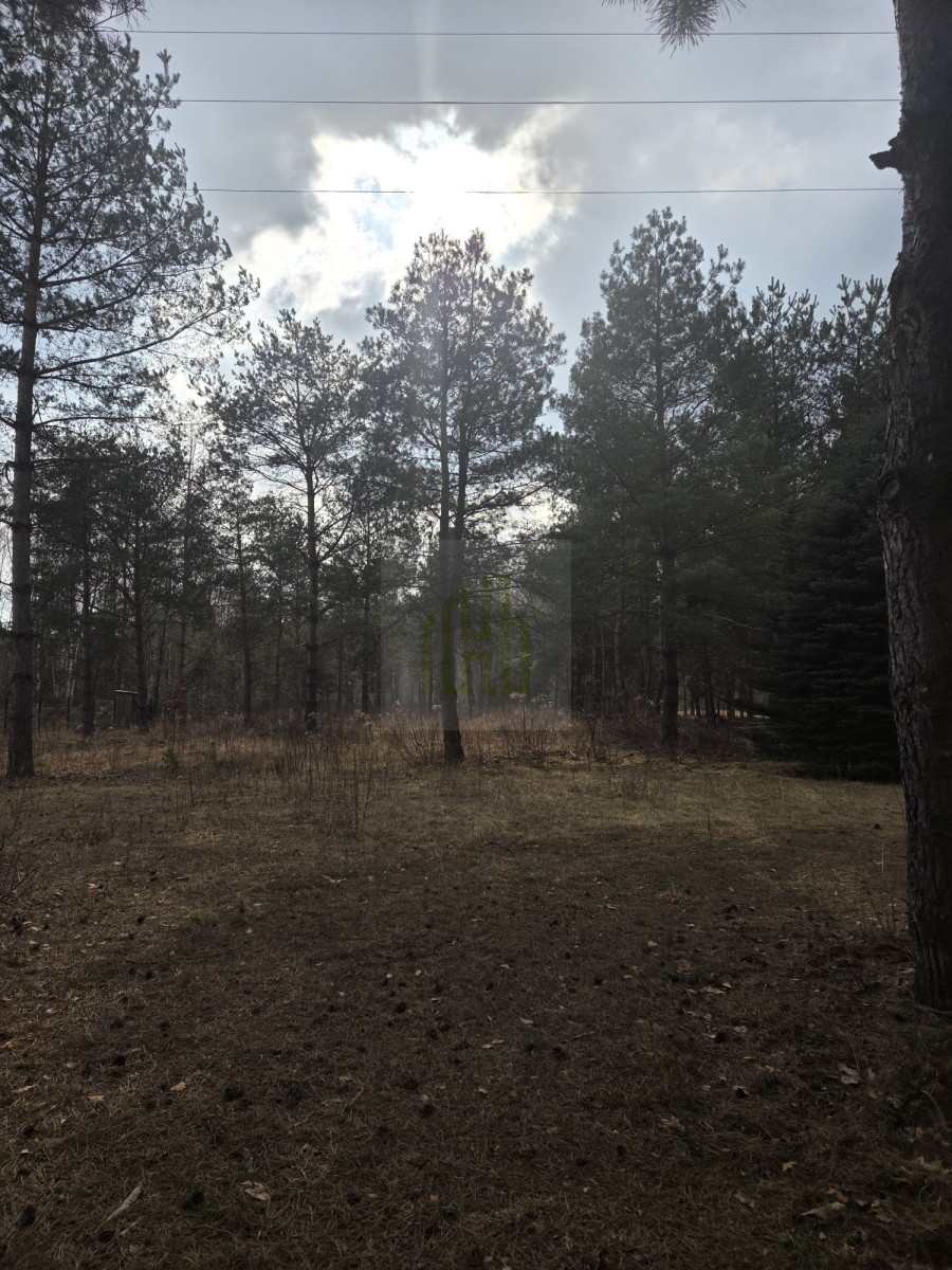 Duża działka 7800 m² – świetna pod inwestycję