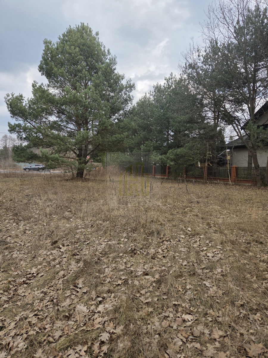 Duża działka 7800 m² – świetna pod inwestycję