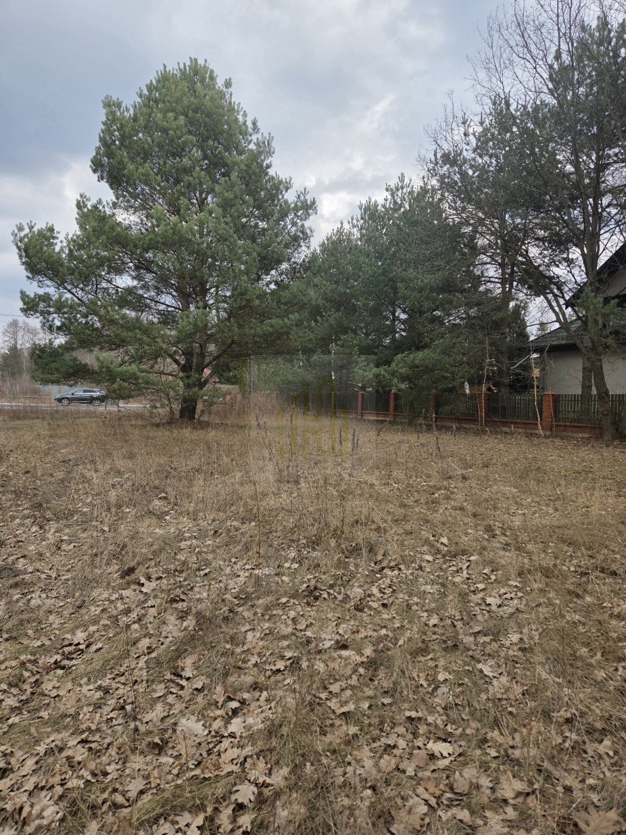 Duża działka 7800 m² – świetna pod inwestycję