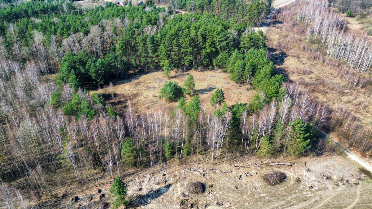Atrakcyjna działka  – idealna pod osiedle domów