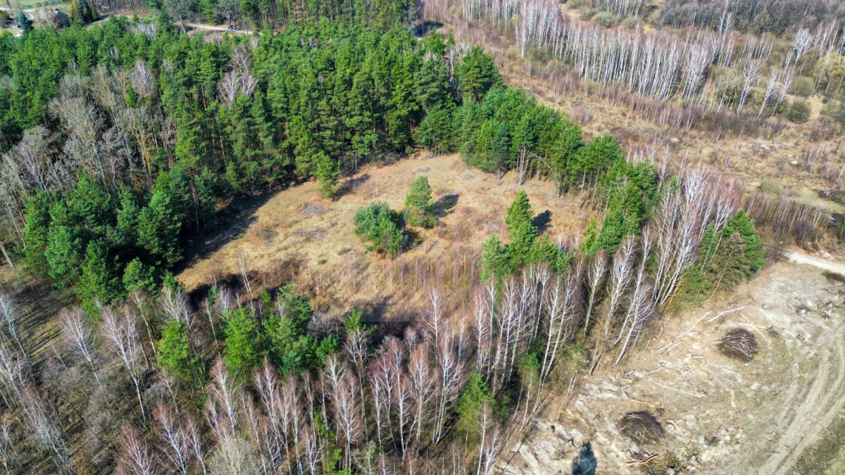 Atrakcyjna działka  – idealna pod osiedle domów