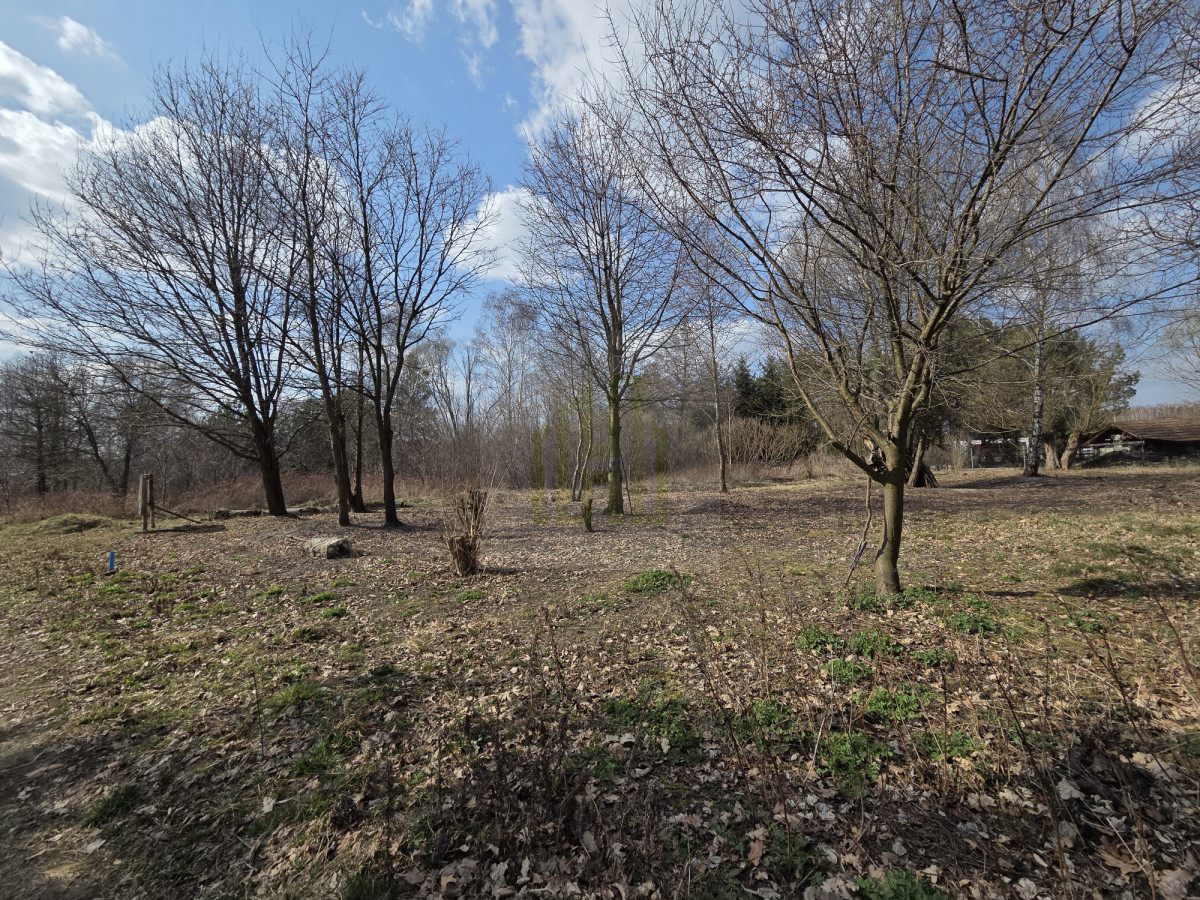 DZIAŁKA NA SPRZEDAŻ HENRYSZEW