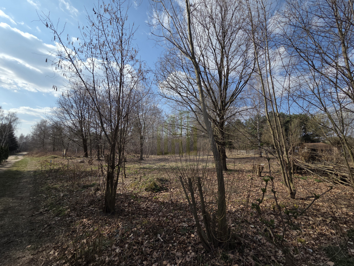 DZIAŁKA NA SPRZEDAŻ HENRYSZEW