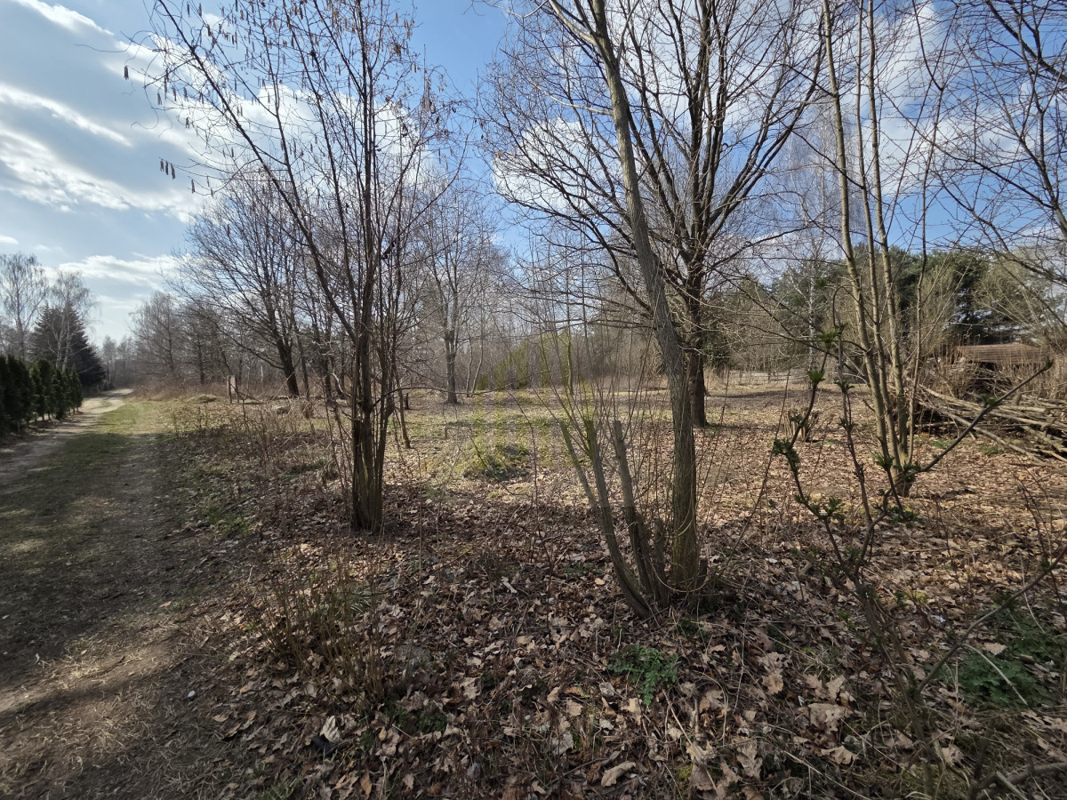 DZIAŁKA NA SPRZEDAŻ HENRYSZEW