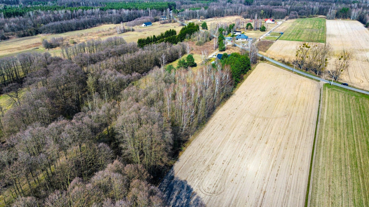 Działka inwestycyjna 7384 m² | 5 min Suntago | S8