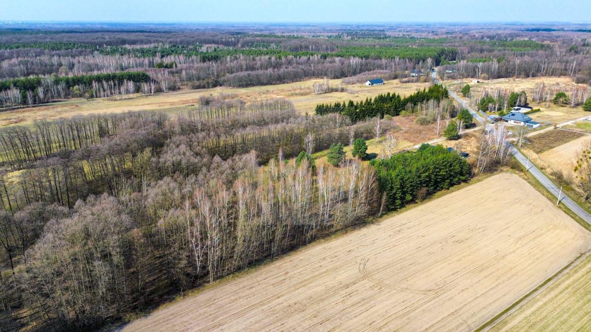 Działka inwestycyjna 7384 m² | 5 min Suntago | S8