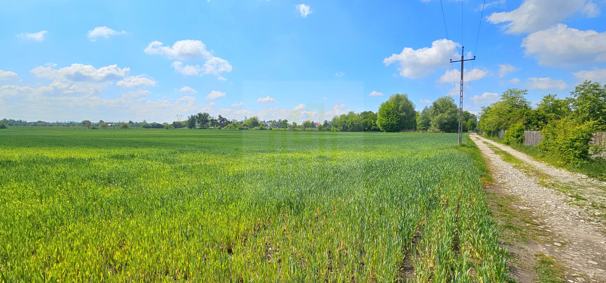 Duża, piękna działka 2527 m2 w Bieniewicach