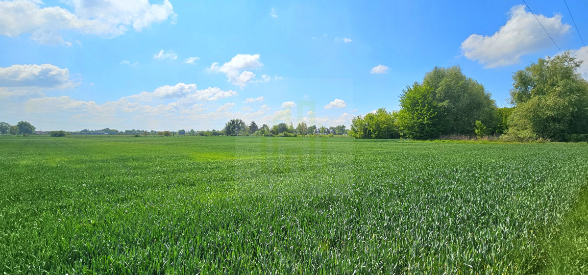 Duża, piękna działka 2527 m2 w Bieniewicach