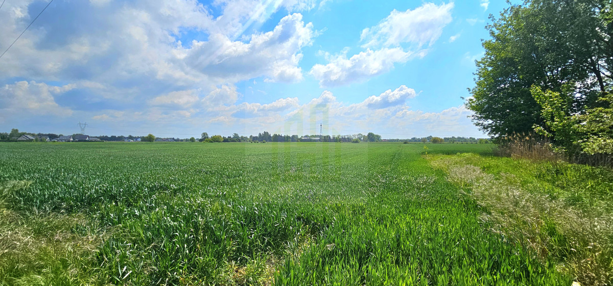 Duża, piękna działka 2527 m2 w Bieniewicach