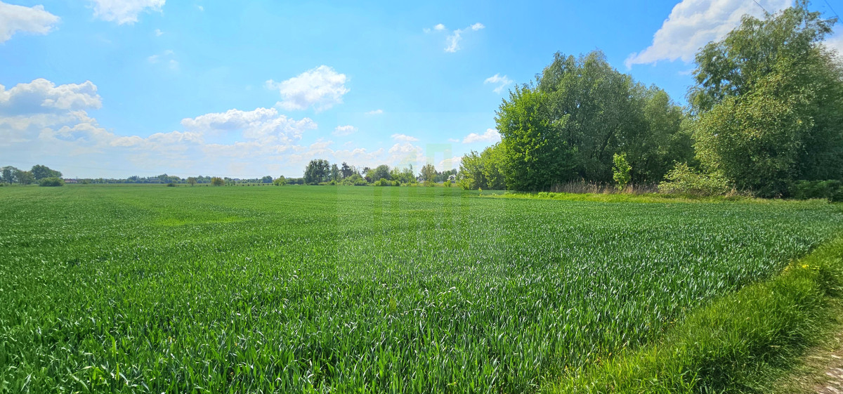 Duża, piękna działka 2527 m2 w Bieniewicach