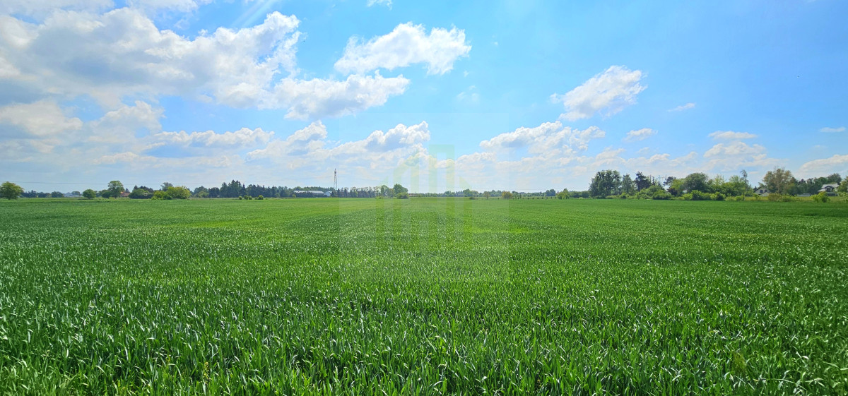 Duża, piękna działka 2527 m2 w Bieniewicach