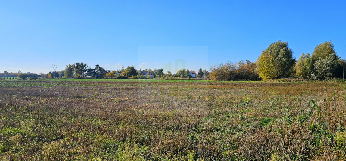 Duża, piękna działka 2527 m2 w Bieniewicach