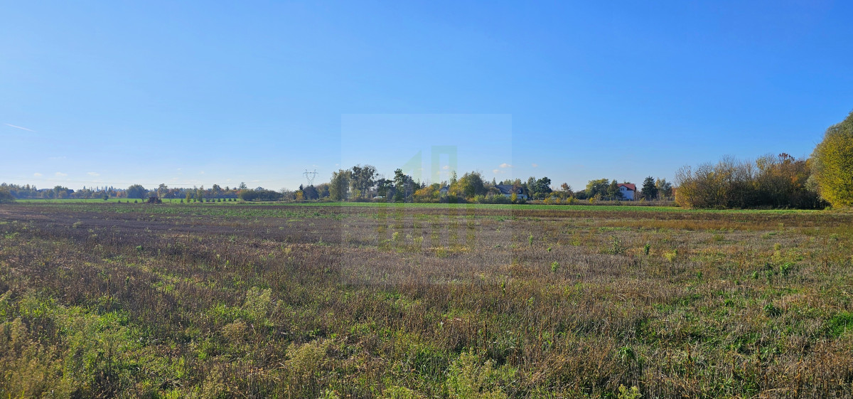 Duża, piękna działka 2527 m2 w Bieniewicach