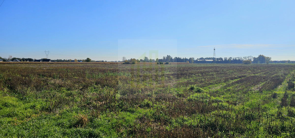Duża, piękna działka 2527 m2 w Bieniewicach