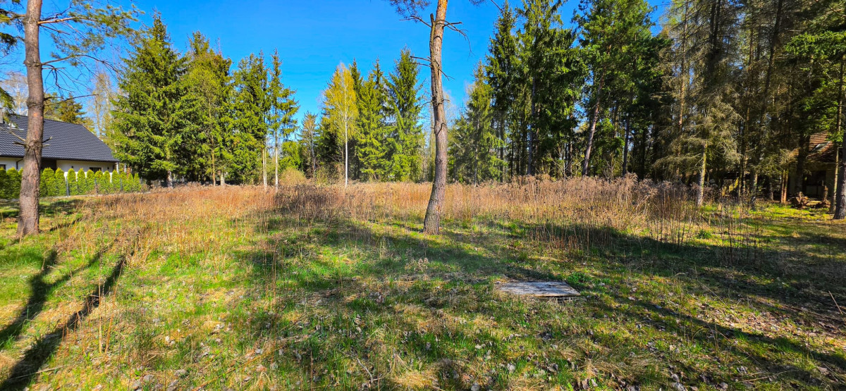 Piękna działka Czarny Las