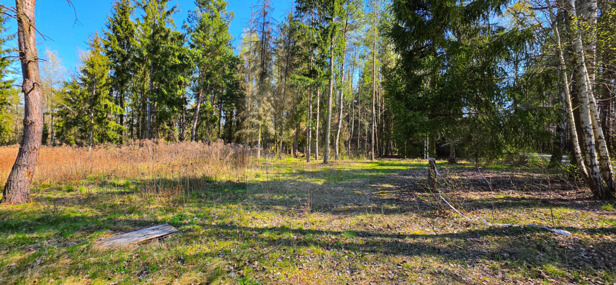 Piękna działka Czarny Las