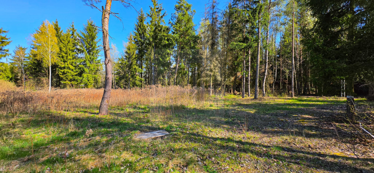 Piękna działka Czarny Las