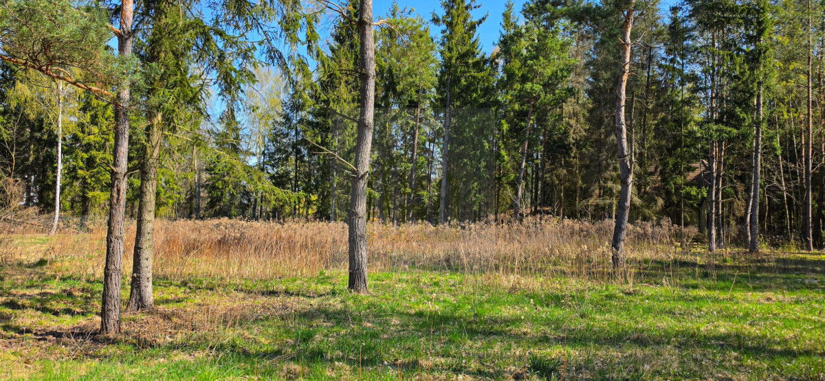Piękna działka Czarny Las