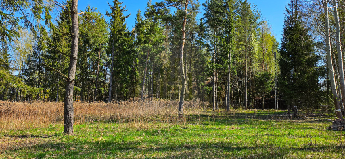Piękna działka Czarny Las