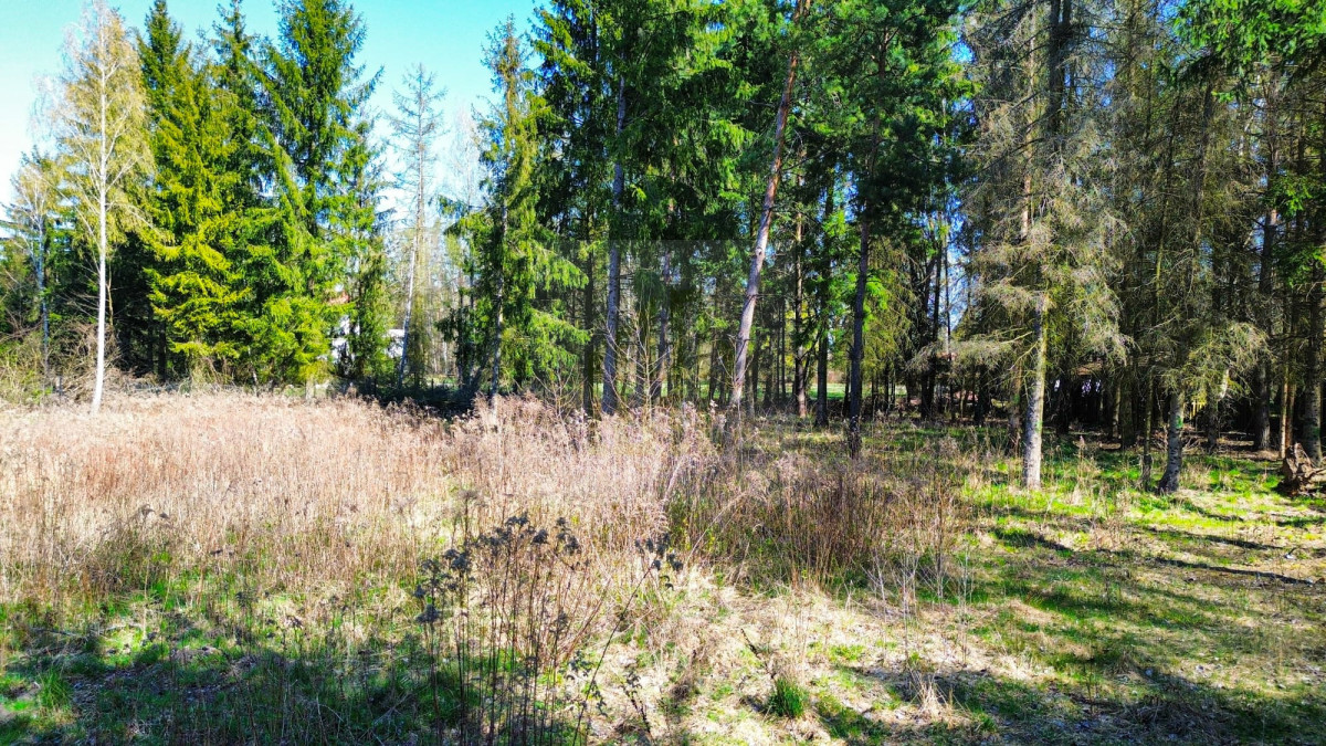 Piękna działka Czarny Las