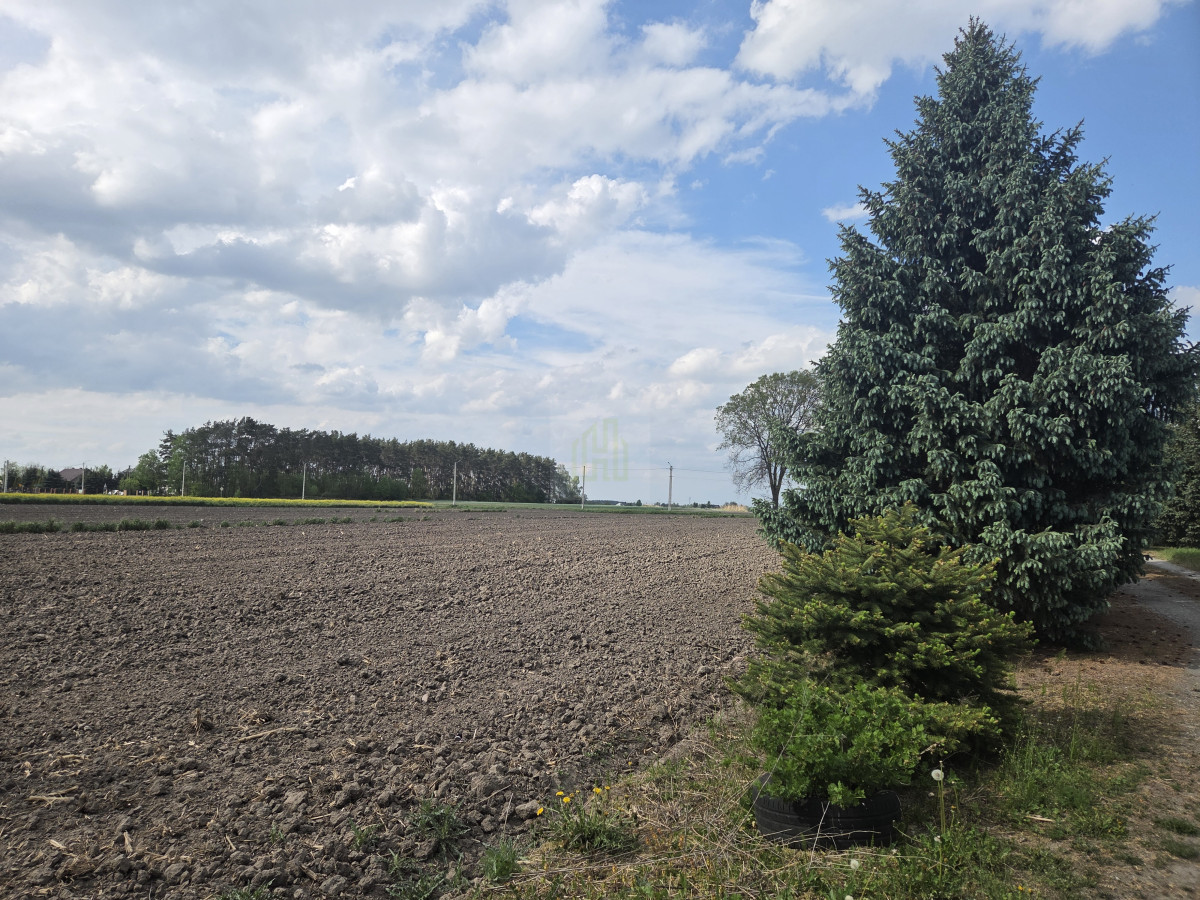 Na sprzedaż działka rolna – Nowa Sucha