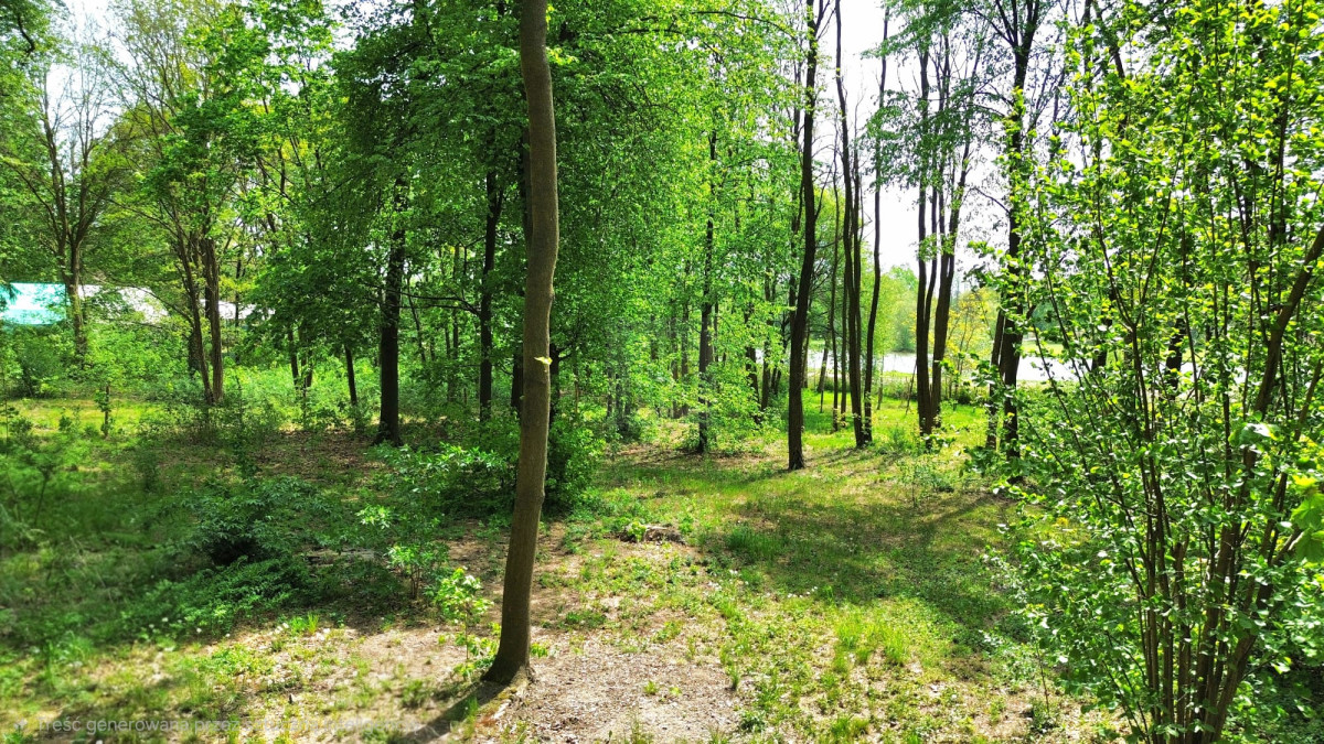 Piękny teren w Podkowie Leśnej