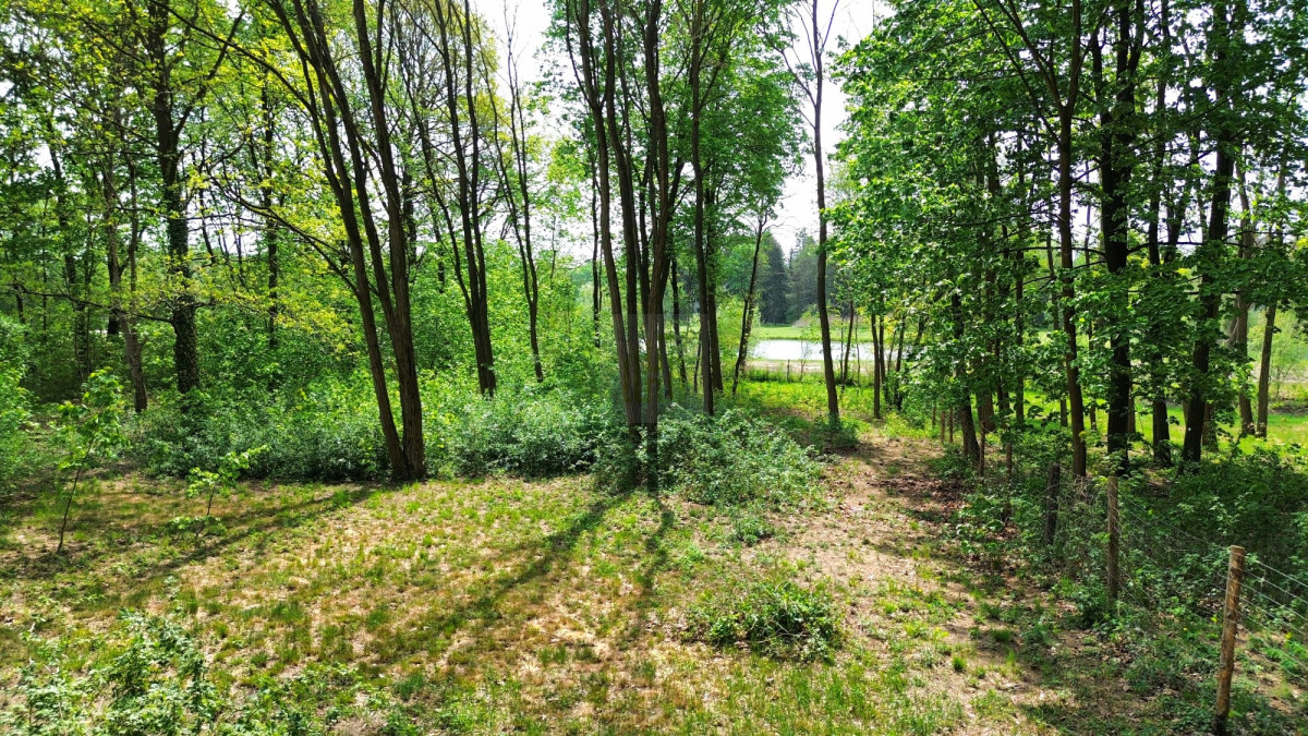 Piękny teren w Podkowie Leśnej