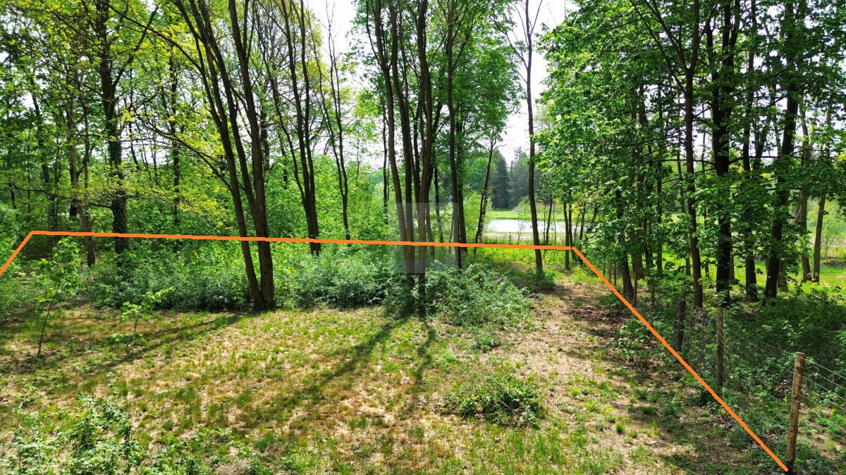 Piękny teren w Podkowie Leśnej